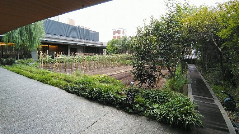 京都八百一本館　六角農場