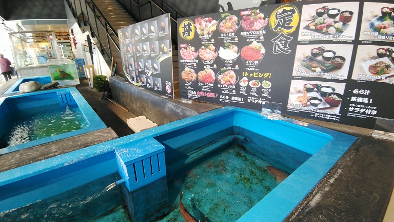 The358 SORA、 UMI  周辺施設 Island eye SUSHI板前バル　LIVE・FISH・MARKET　海鮮丼、定食、お得