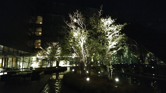 THE BLOSSOM KUMAMOTO、ザ ブラッサム 熊本　ザ・フォレストテラス　The forest terrace